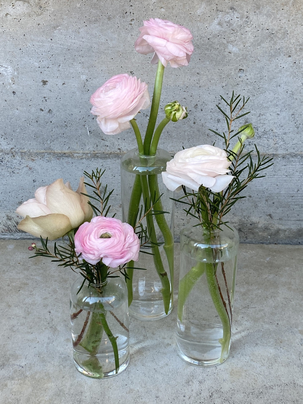 A close up of a trio of clear glass bud vases, all different heights designed with blush roses and blush ranunculus blooms and wax flower green foliage.