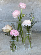 A close up of a trio of clear glass bud vases, all different heights designed with blush roses and blush ranunculus blooms and wax flower green foliage.