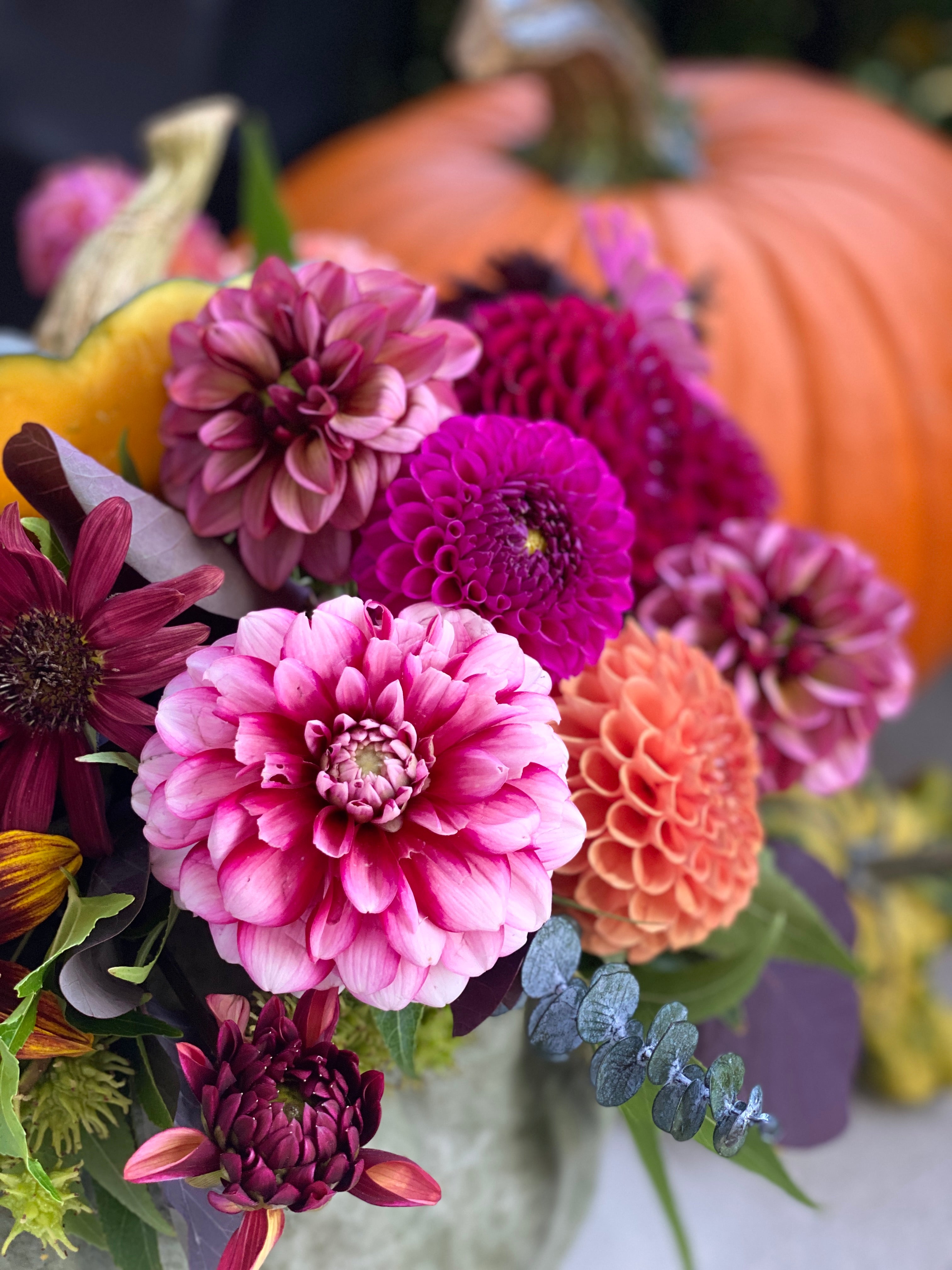A close-up of a vibrant flower arrangement featuring pink, magenta, and orange dahlia blooms with green foliage, set against a soft-focus background of pumpkins.