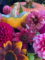 A close-up arrangement of autumn flowers and pumpkins, including bright pink and magenta dahlias, a maroon sunflower, and orange pumpkins with green leaves.