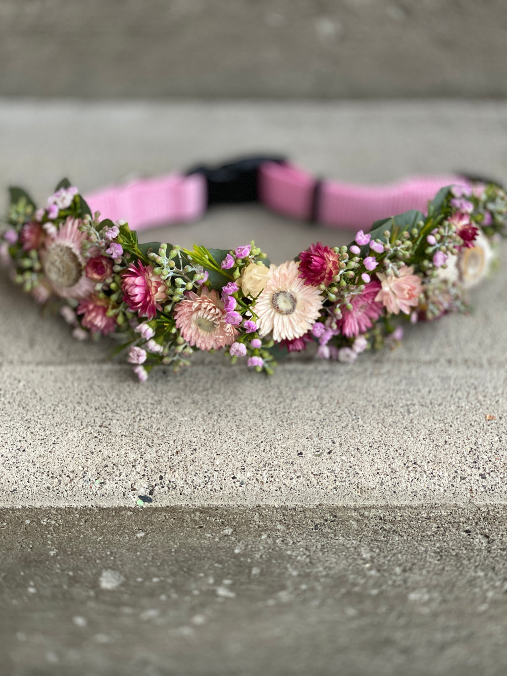 Close up of a floral dog collar designed on a pink adjustable nylon collar with dried straw flowers, wax flower, and seeded eucalyptus tips.