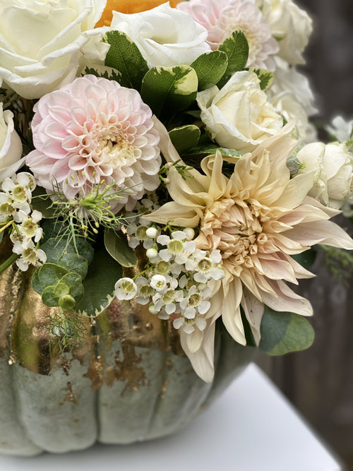 Light green Jarrahdale pumpkin painted with gold metallic foil and filled with fresh light pink Dahlias and white Roses.